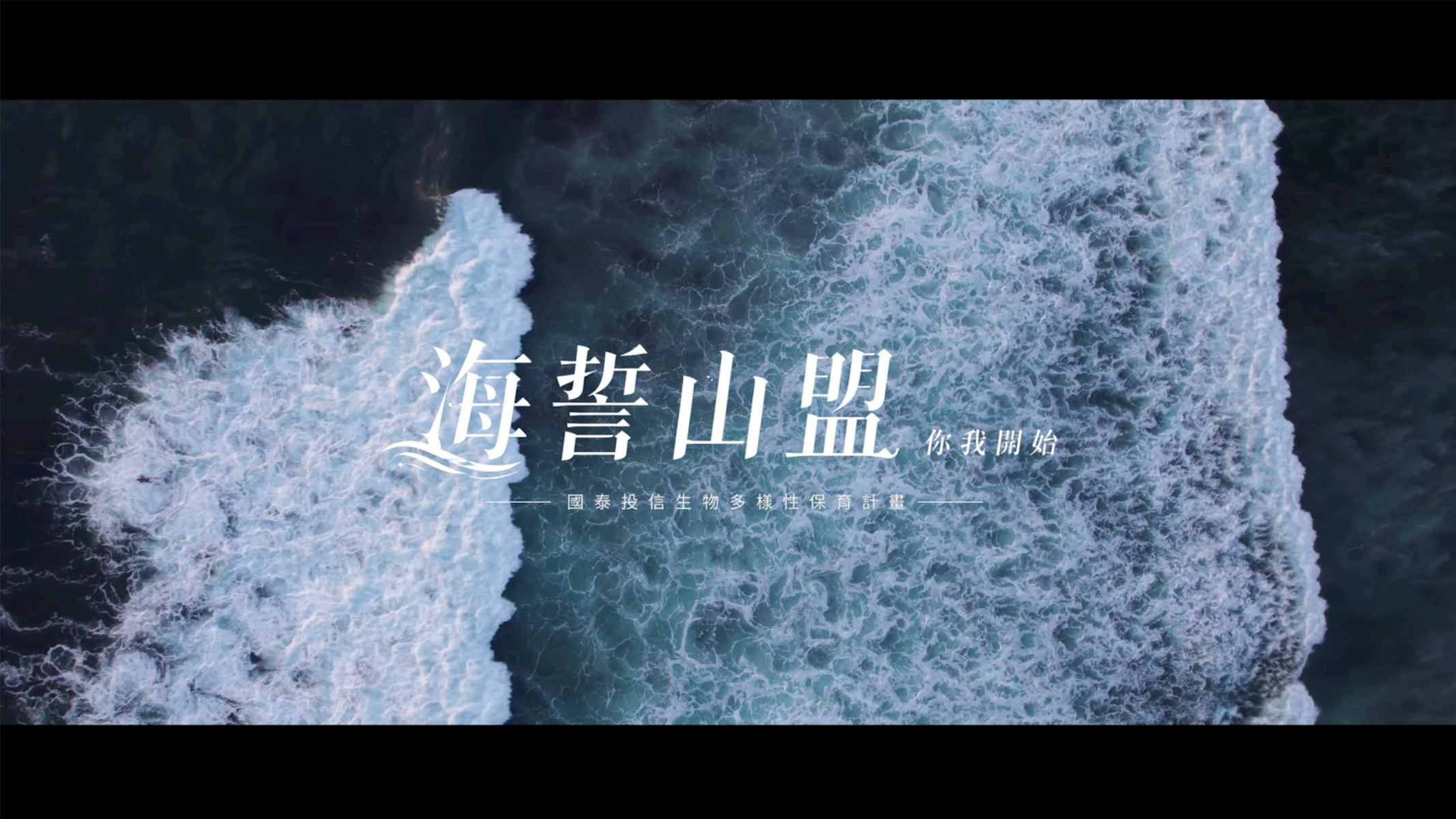 從投資看見自然風險，從行動守護海洋生命｜海誓山盟 你我開始