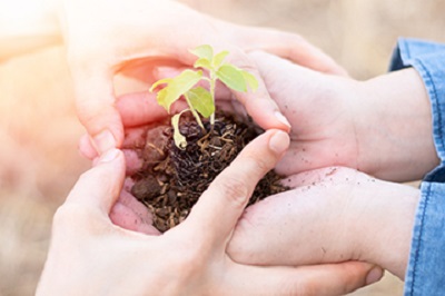 堅守責任投資，盡職治理守則揭露獲證交所肯定！|國泰投信